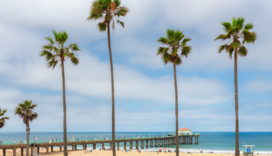 Fishing in los angeles - Fishing Trip