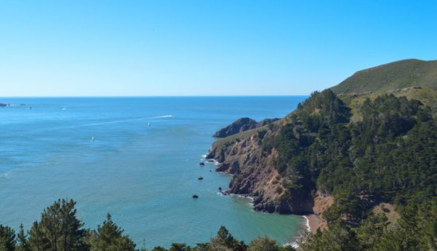 Fishing in san francisco - Fishing Trip